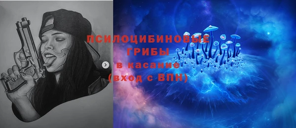 apvp Алексин