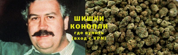 сатива Алзамай